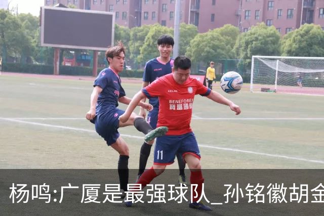 杨鸣:广厦是最强球队 孙铭徽胡金秋同位置顶级