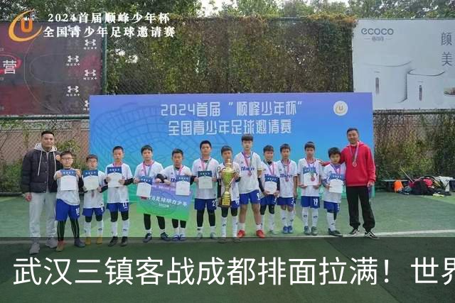 武汉三镇客战成都排面拉满！世界杯、欧冠决赛洋哨执法，马宁、傅明分任第四官员、VAR